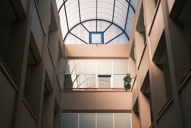 Project 10 Image