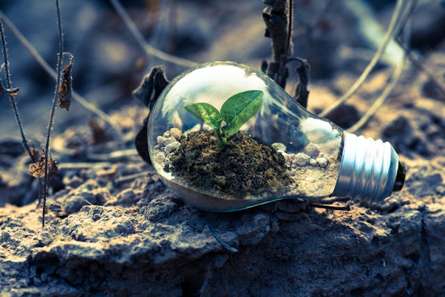 Environmental Services